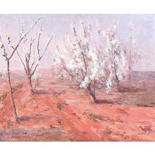 Desert Willows