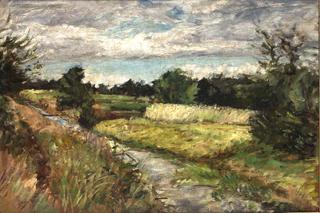 Landscape with Moor Ditch