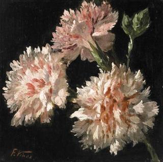 Pink Carnations