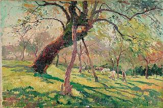 Cows in the Orchard