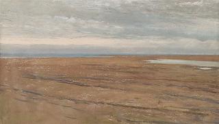 Beach, Fregene