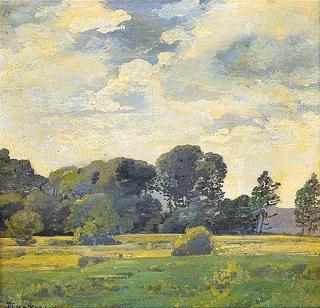 Wide meadow with tree line