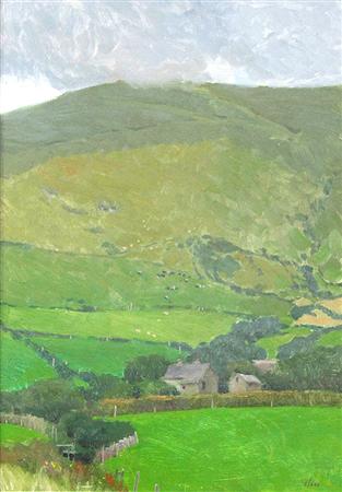 Summer Green, Dunquin, Ireland