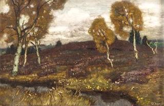 Moor land with birches
