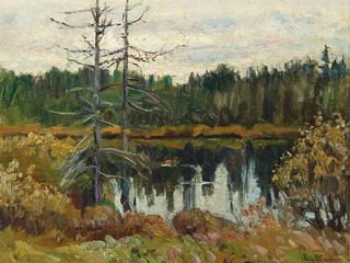 Wilderness Pond