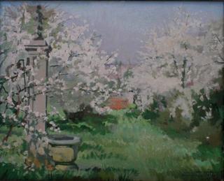 Spring in my Garden