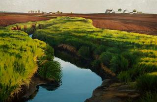 Stream through Farm Fields (McClean County)