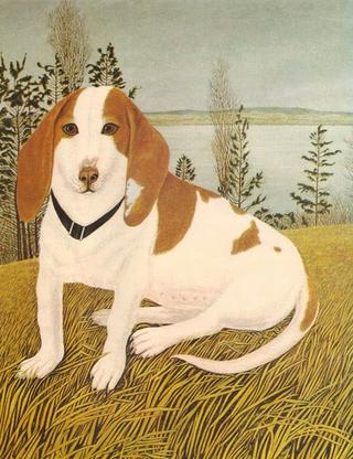 Hunting Dog