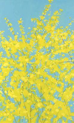 Forsythia