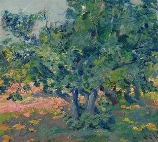 Summer field with old trees