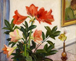 Still life with amaryllis