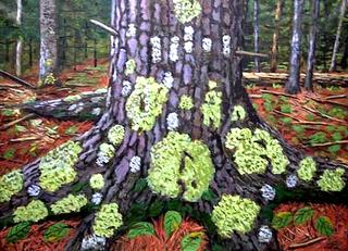 Lichen Tree