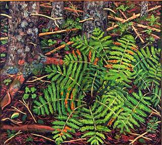 Ferns II