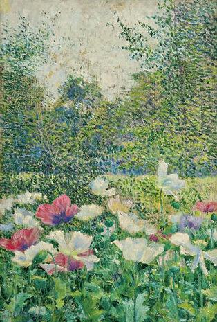 The Poppies