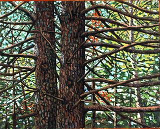 Pine