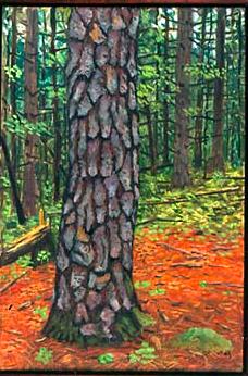Tree Three