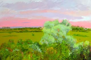 Russian Olive II