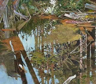 Pond On the Yakoun, Queen Charlotte Islands