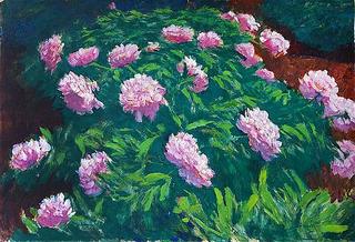 Peonies