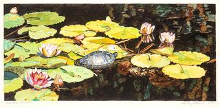 Lily Pond with Turtle