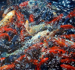 Fish Surface 1
