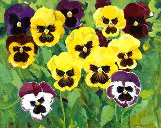 Seven Yellow Pansies