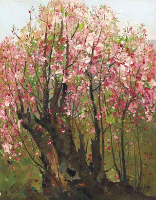 Plum Blossoms