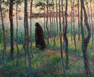 Through the Woods