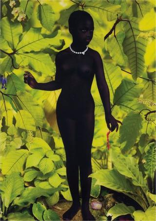Venus #1