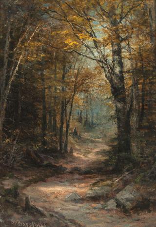 Autumn Clearing