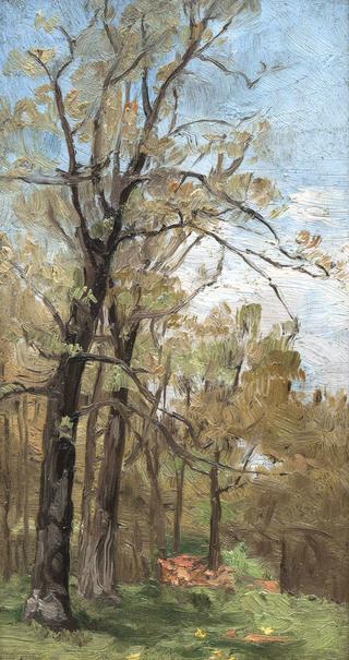 Landscape with Tree