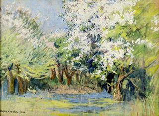 Spring Forest