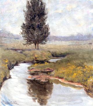 Autumn Brook