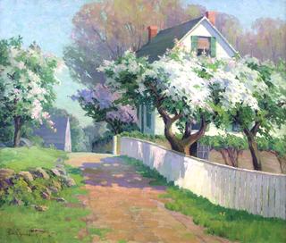 Spring Blossoms