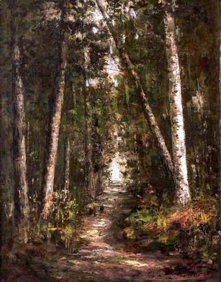 Forest Path