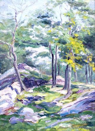 Springtime in the Forest