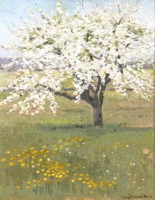 Tree in Bloom