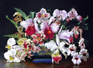 Orchids