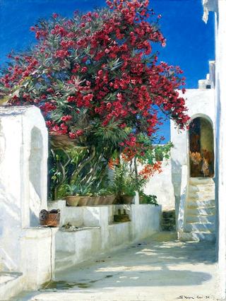 Oleanders in Bloom, Capri