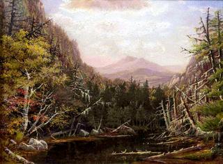 In the White Mountains