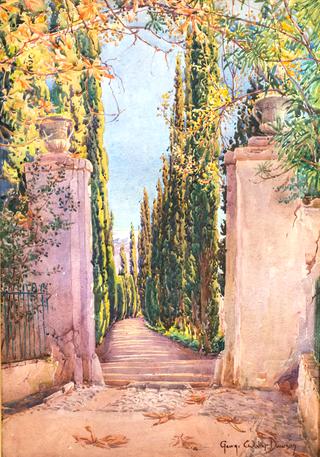 Path to the Alps