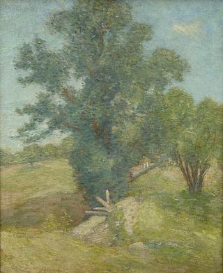 Trees and Meadow, Connecticut