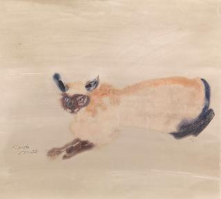 Siamese cat