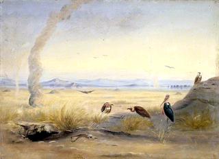 Barren Landscape with Vultures and Adjutant Bird beside a Carcass