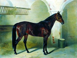 Horse in the Stables