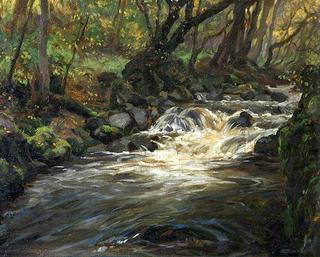 A Perthshire Stream