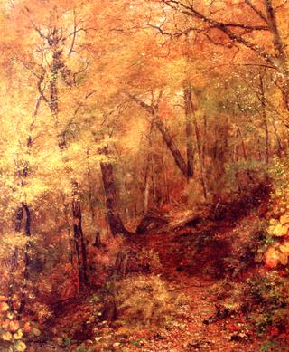 The Yellow Autumn Woods
