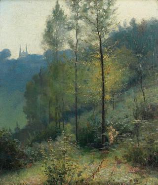 Hillside in Summer