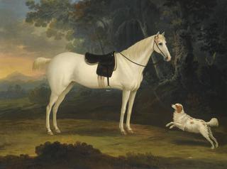 Portrait of Cygnet, a grey horse, with a white spaniel in a landscape