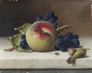 Still Life of Fruit and Nuts on a Ledge